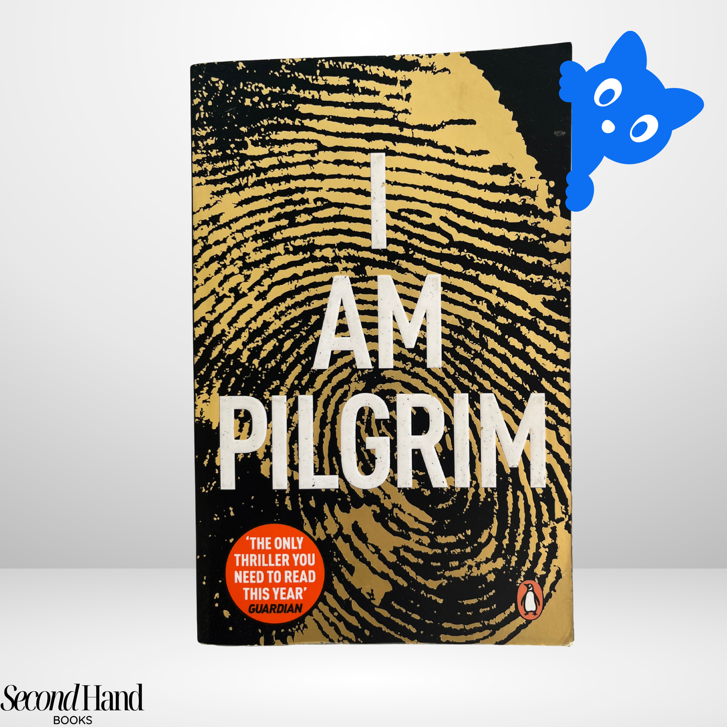 I Am Pilgrim by Terry Hayes